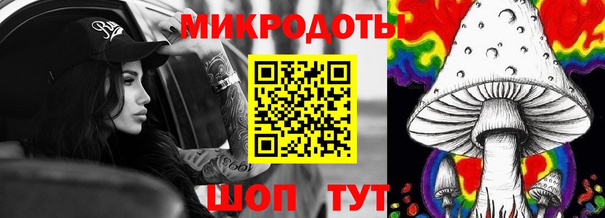 Галлюциногенные грибы Psilocybe Ишим